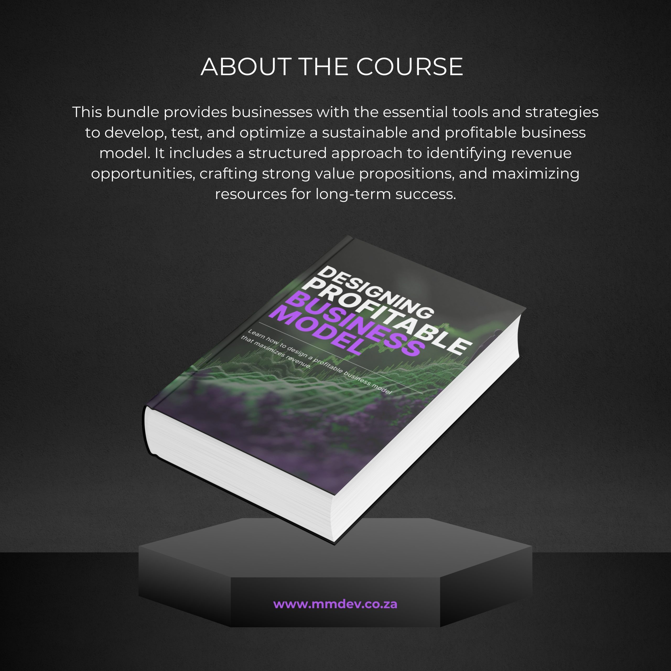 Designing a Profitable Business Model - Bundle - Image 2