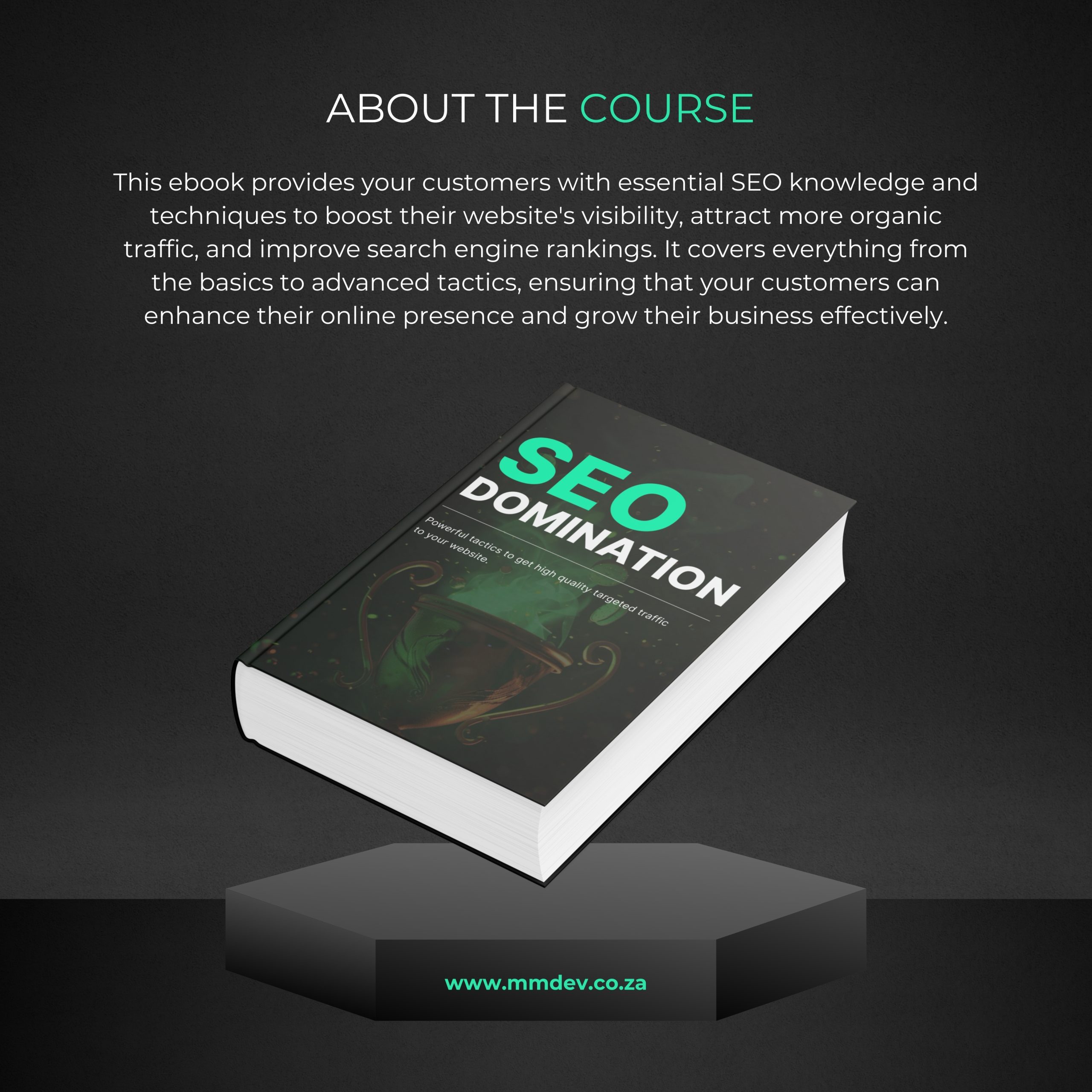 SEO Domination - Image 2